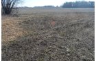 Property photo 17 - East Allen County - 55 Acre Land Auction